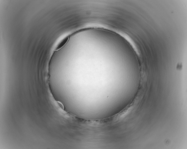 X0000091570815200709100955