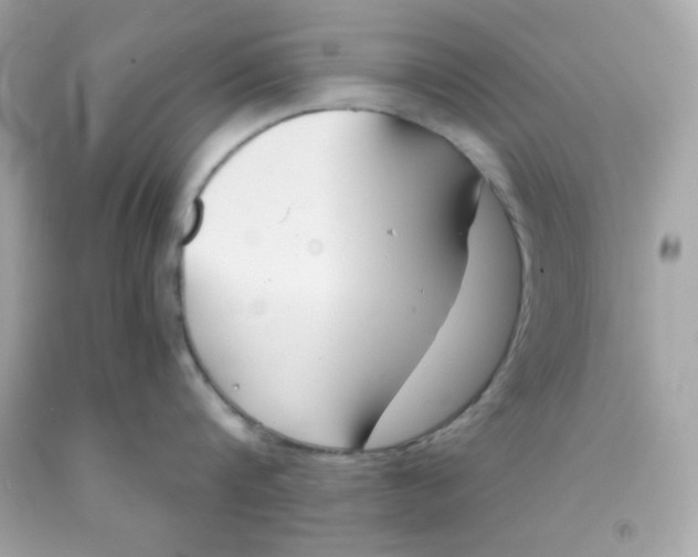 X0000091570816200709100955