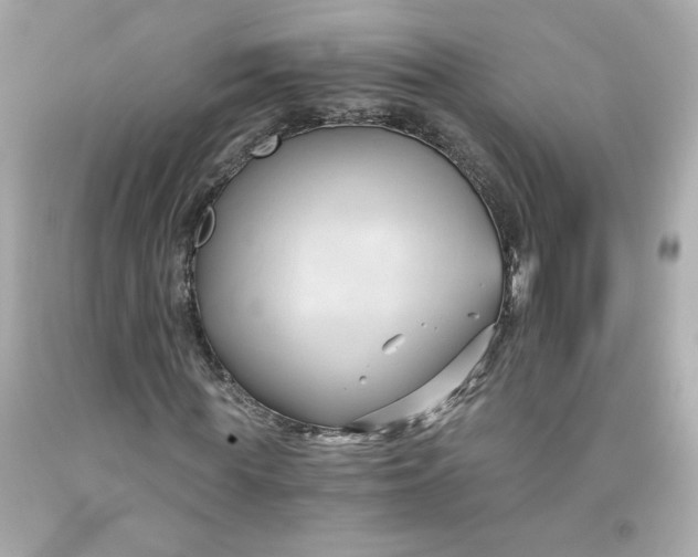 X0000091570819200709100954