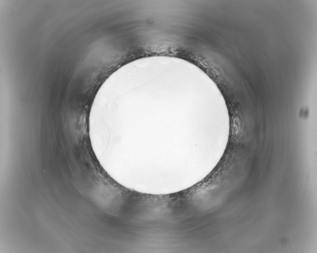 X0000091570820200709100954