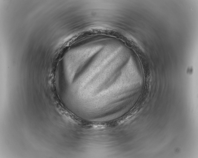 X0000091570822200709100954