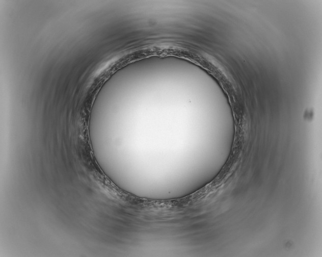 X0000091570823200709100954