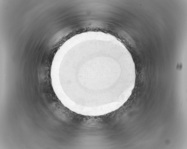 X0000091570824200709100954