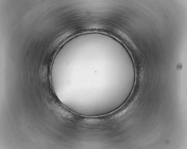 X0000091570825200709100955