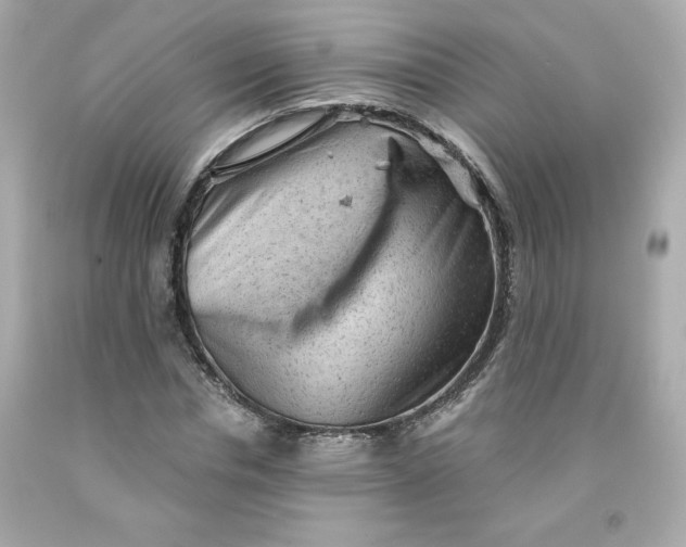 X0000091570826200709100955