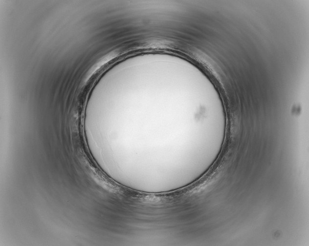 X0000091570827200709100955