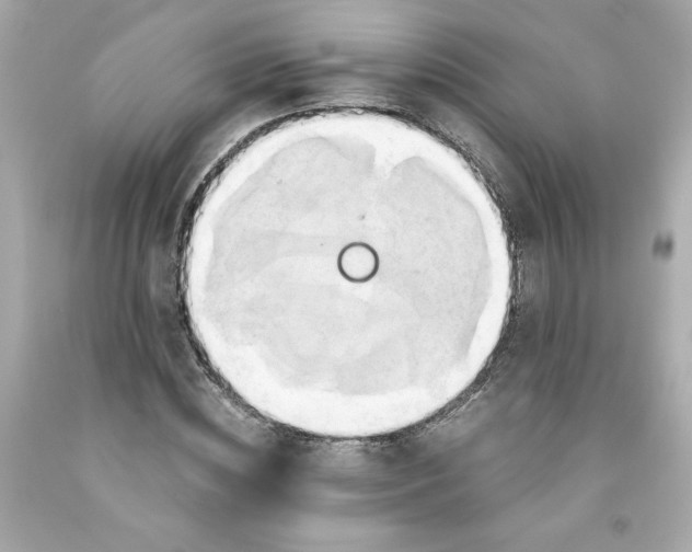 X0000091570828200709100955