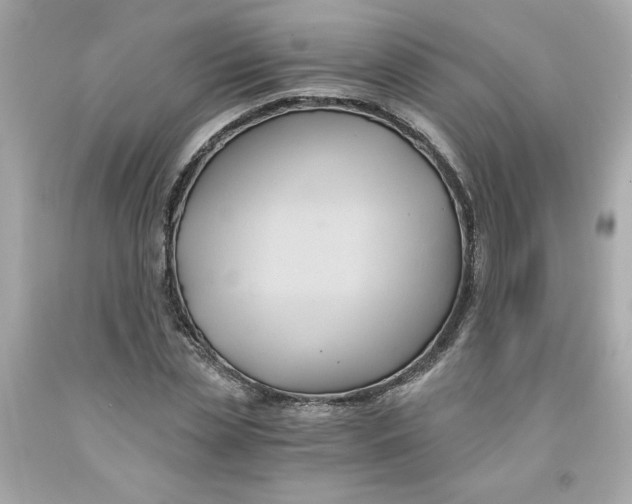 X0000091570829200709100955