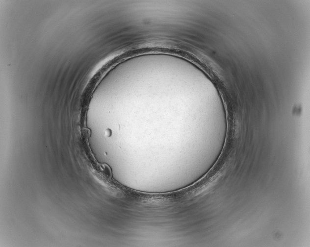 X0000091570830200709100955