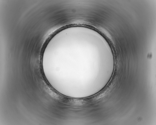 X0000091570831200709100955