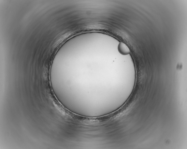 X0000091570833200709100955