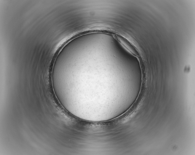 X0000091570834200709100955