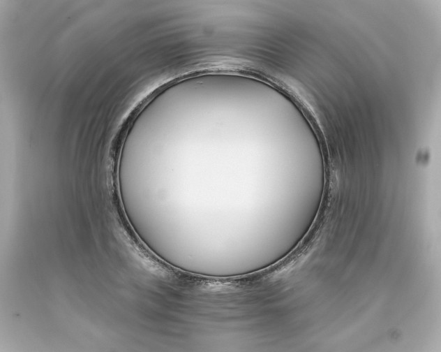 X0000091570835200709100955