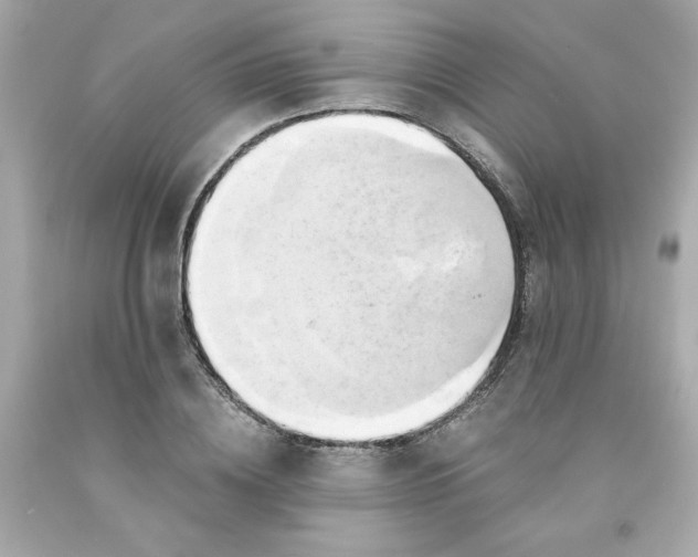 X0000091570836200709100955