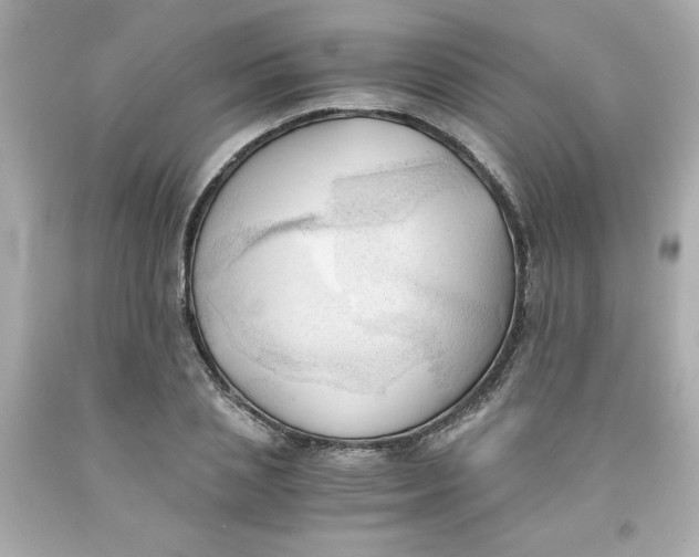 X0000091570837200709100955