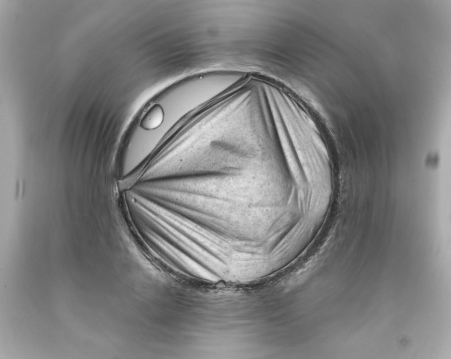 X0000091570838200709100955