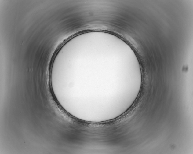 X0000091570840200709100955