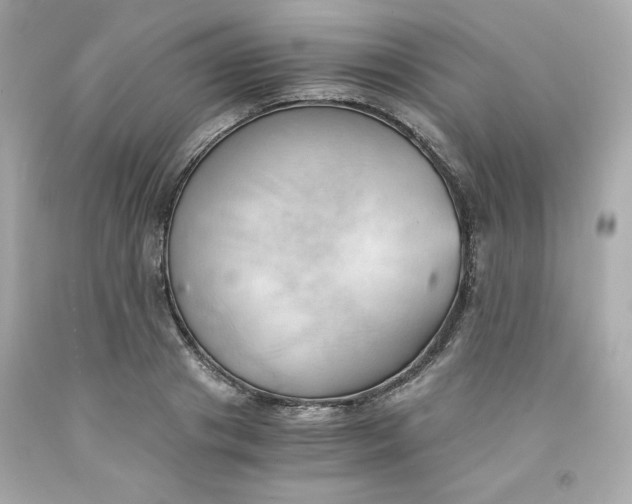 X0000091570841200709100955