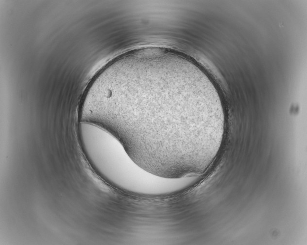 X0000091570842200709100955