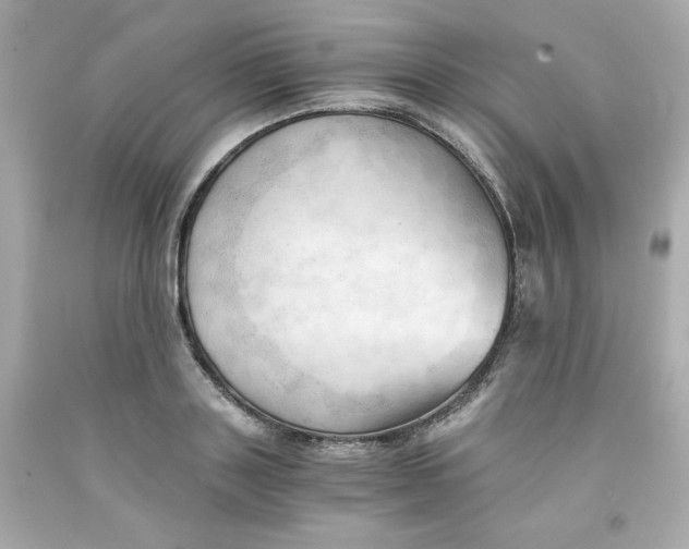 X0000091570843200709100955