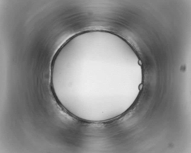 X0000091570844200709100955