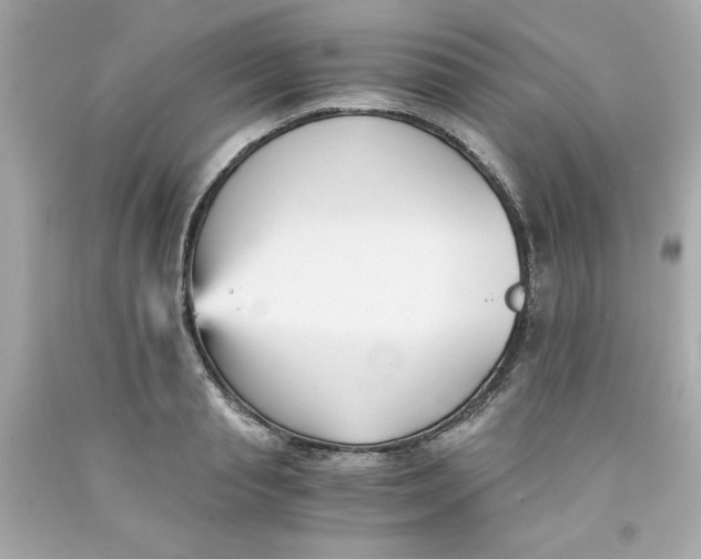 X0000091570845200709100955