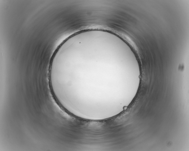 X0000091570847200709100955