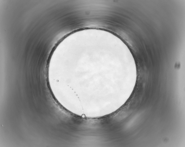 X0000091570848200709100955