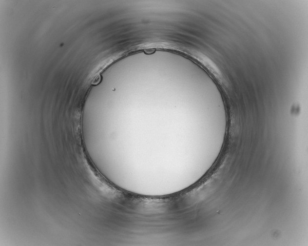 X0000091570849200709100955