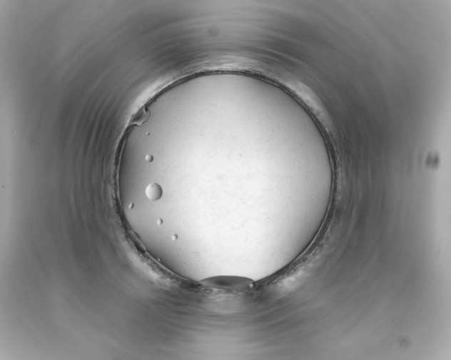 X0000091570850200709100955