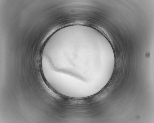 X0000091570851200709100955