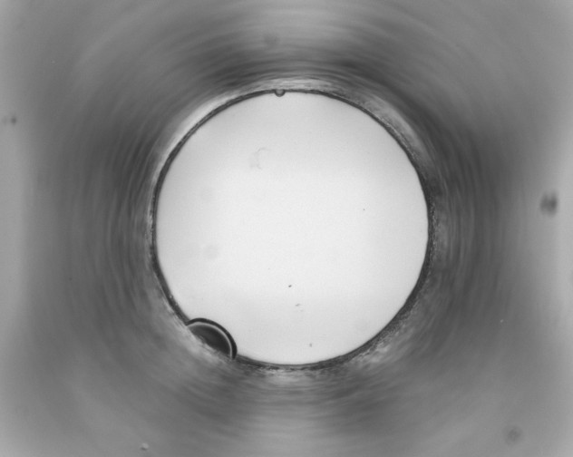 X0000091570852200709100955