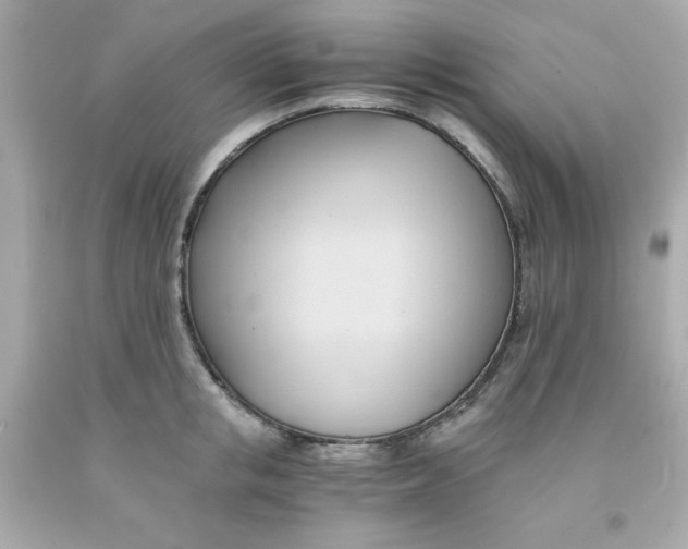 X0000091570853200709100955