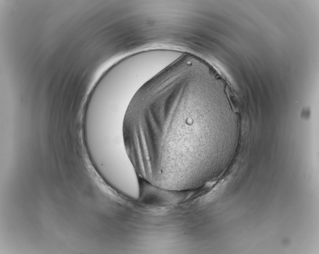 X0000091570854200709100955