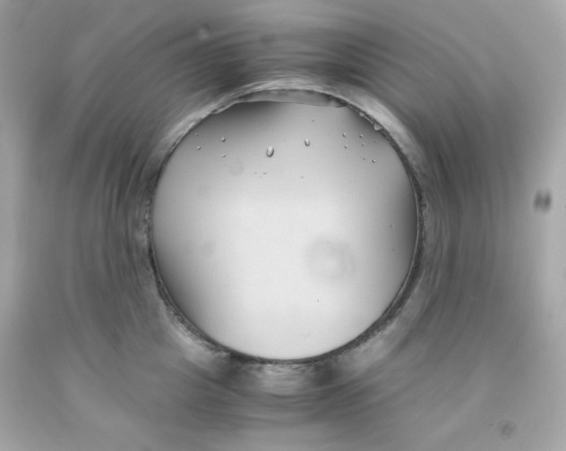 X0000091570857200709100955