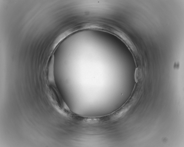 X0000091570858200709100955