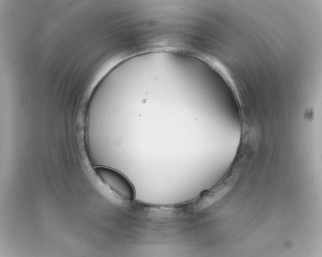 X0000091570859200709100955