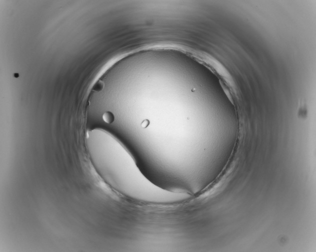 X0000091570860200709100955