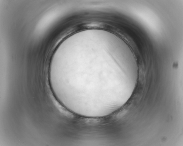 X0000091570861200709100955