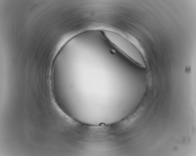 X0000091570863200709100955