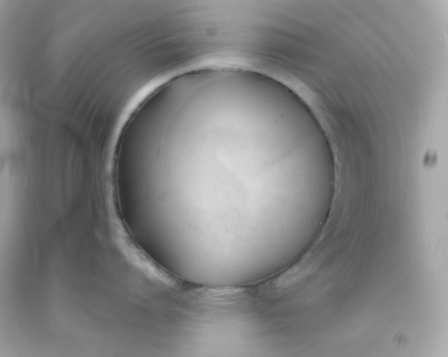 X0000091570864200709100955