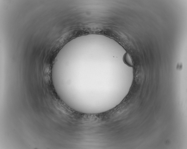 X0000091570866200709100954