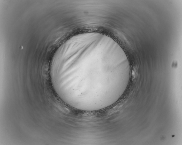 X0000091570867200709100954