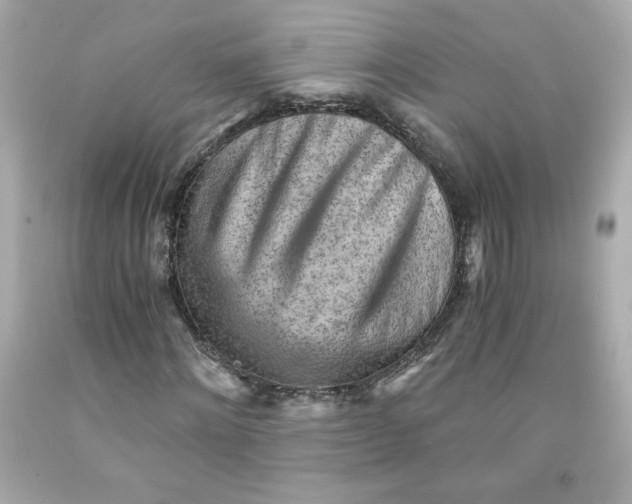 X0000091570868200709100954