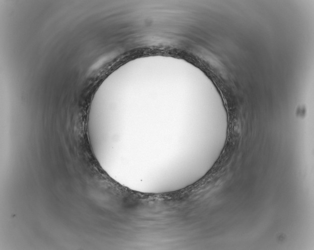 X0000091570869200709100954