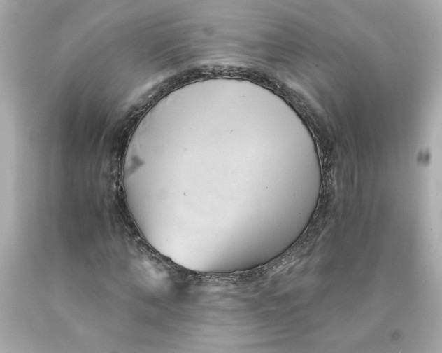 X0000091570870200709100954