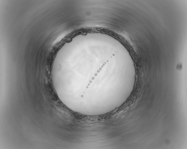 X0000091570871200709100954