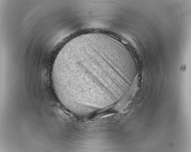 X0000091570872200709100954