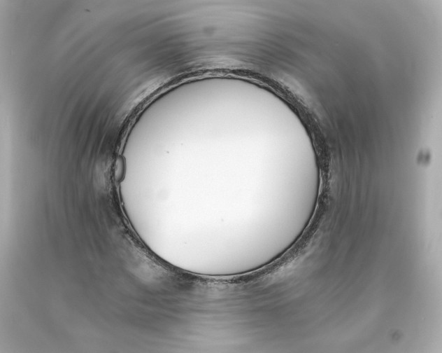 X0000091570873200709100954