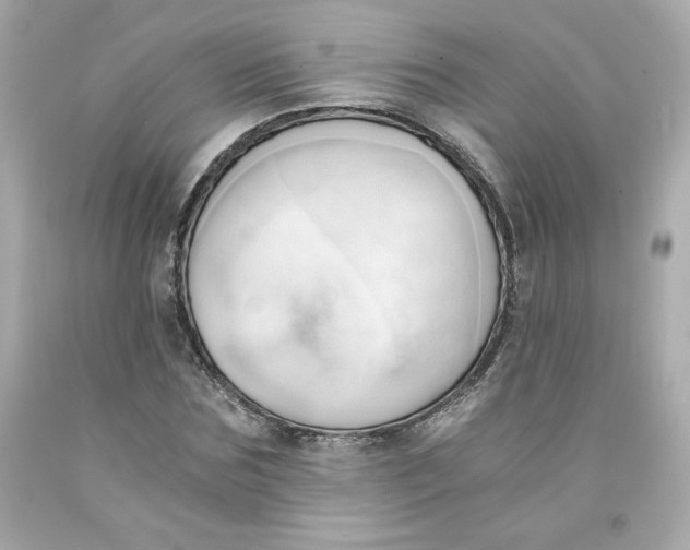 X0000091570875200709100954